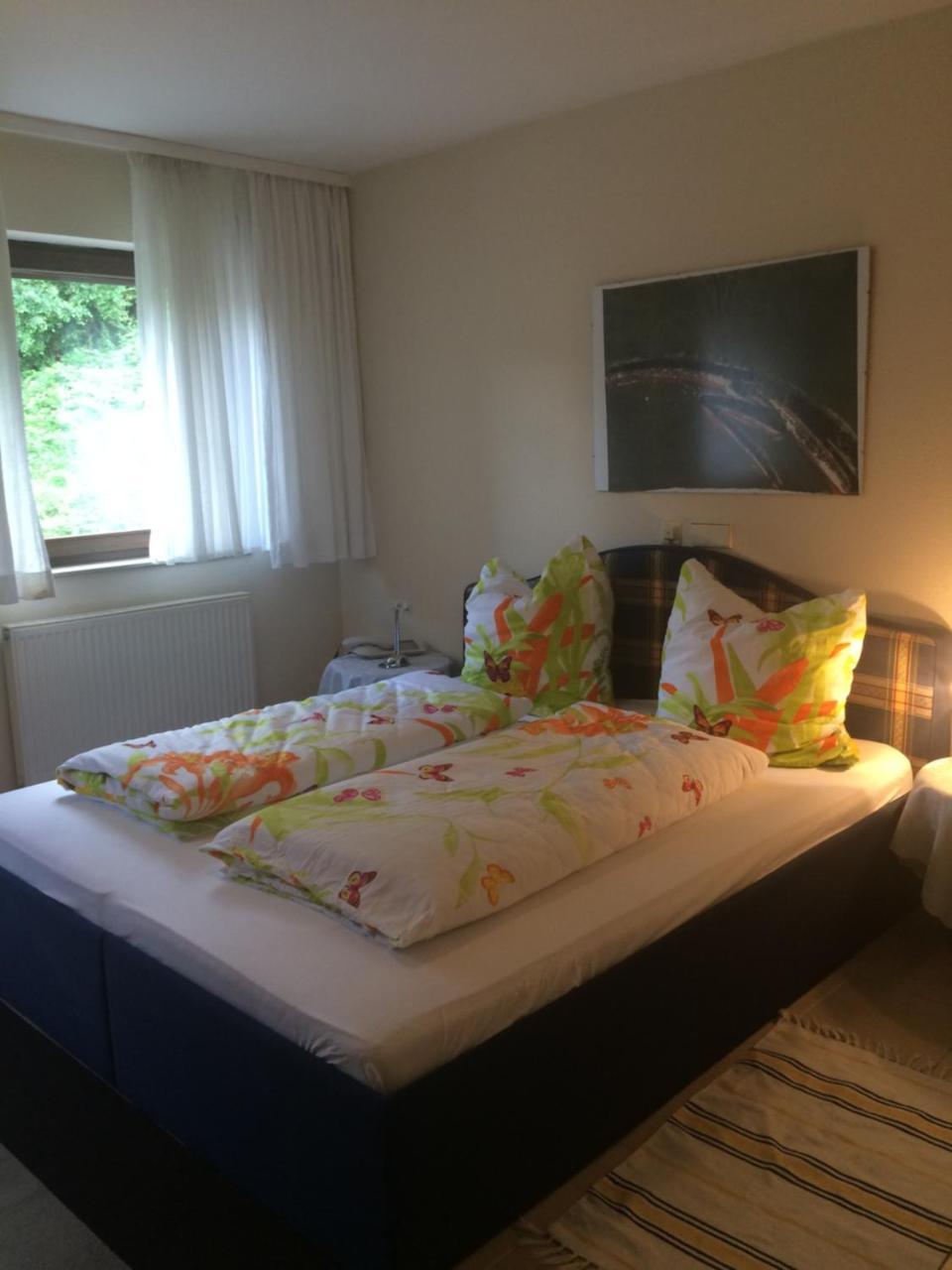 Icc Pfaelzer Hof - Hotel & Seminarhaus Schonau  Zewnętrze zdjęcie